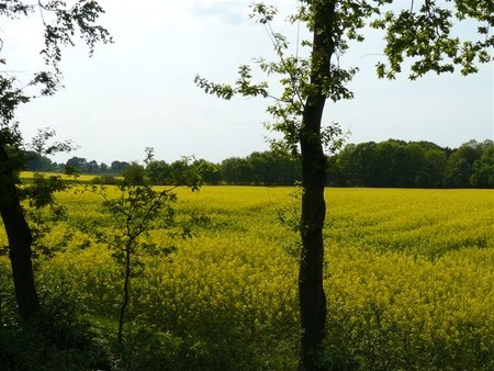 auf dem Weg nach Elm