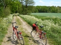 Radtour durchs Moor